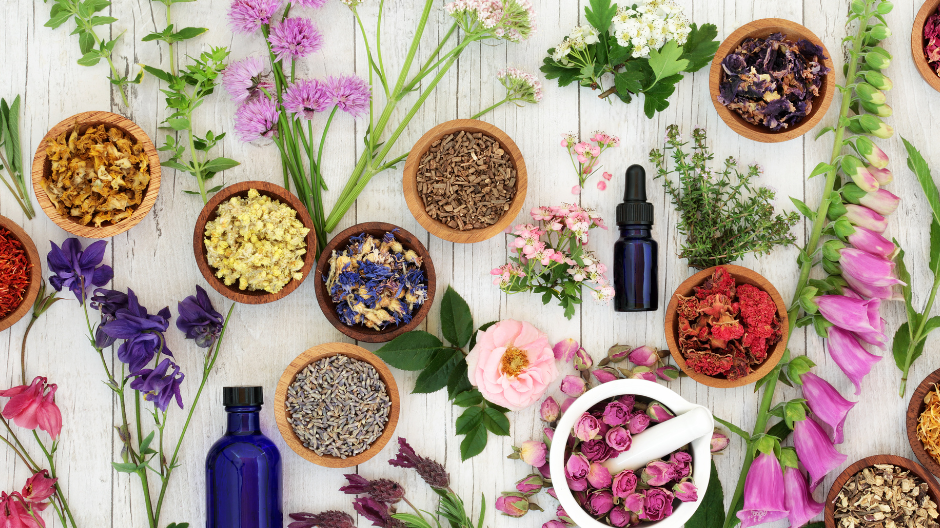 Herbal Energetics: A Beginner's Guide