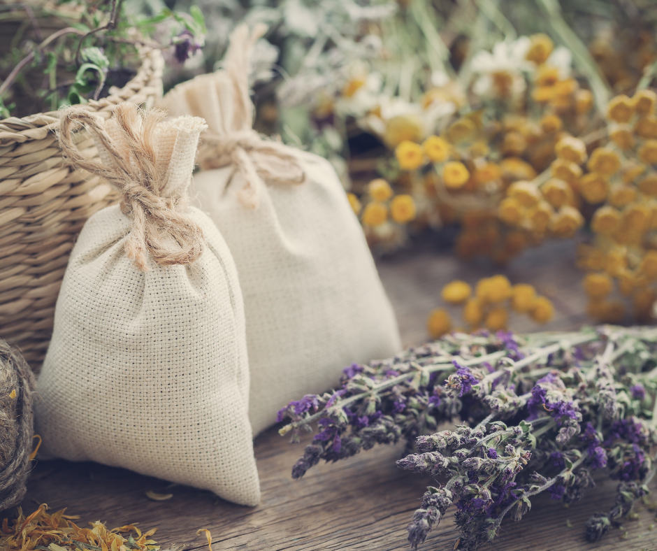Exploring the World of Herbal Actions: Understanding How Herbs Interact with Our Bodies