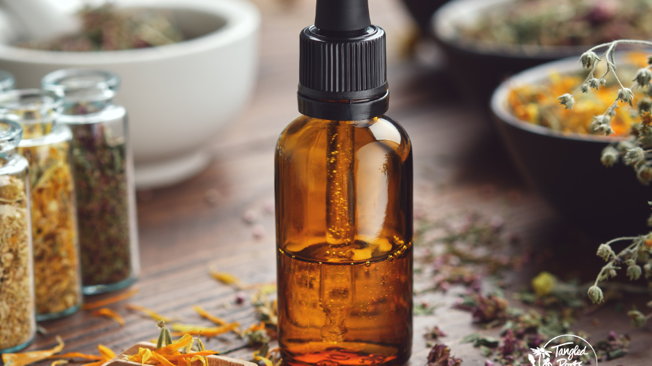 Navigating Modern Wellness with Ancient Knowledge