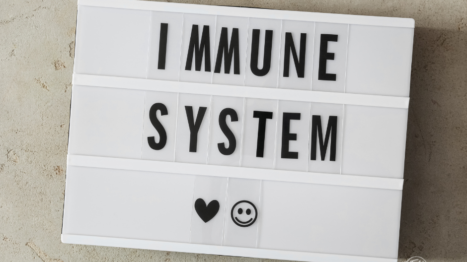 The Four Pillars of Health