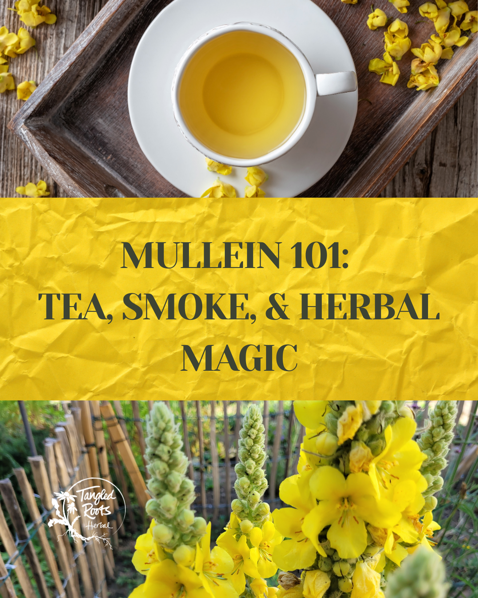 Smoking Mullein: The Surprising Herb for Lungs + Letting Go – Tangled Roots  Herbal