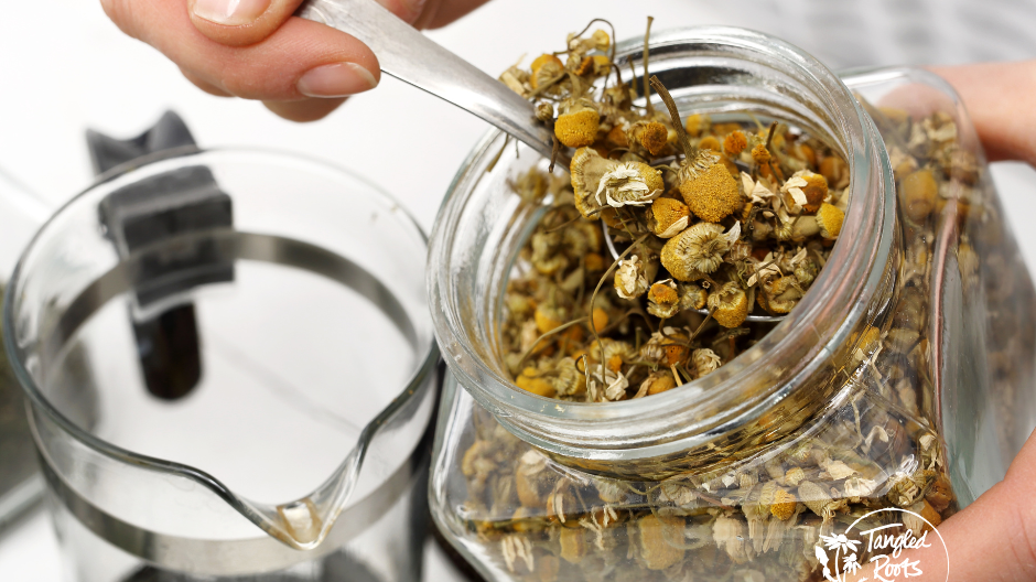 Top Three Ideas to Alleviate Stress & Anxiety