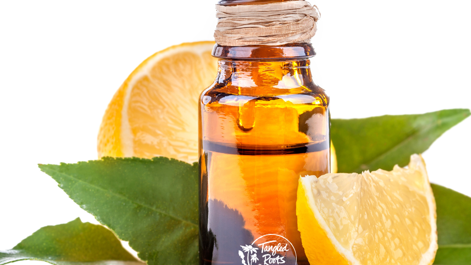 Essential Oils for Summer: Stay Cool, Calm, and Bug-Free