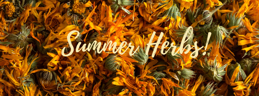 5 Summer Herbs for Skin, Stress & Solstice Magic