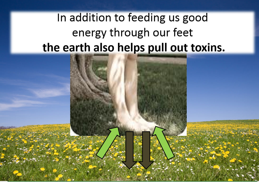 Product Highlight - Say Yes to flip flops in Winter!