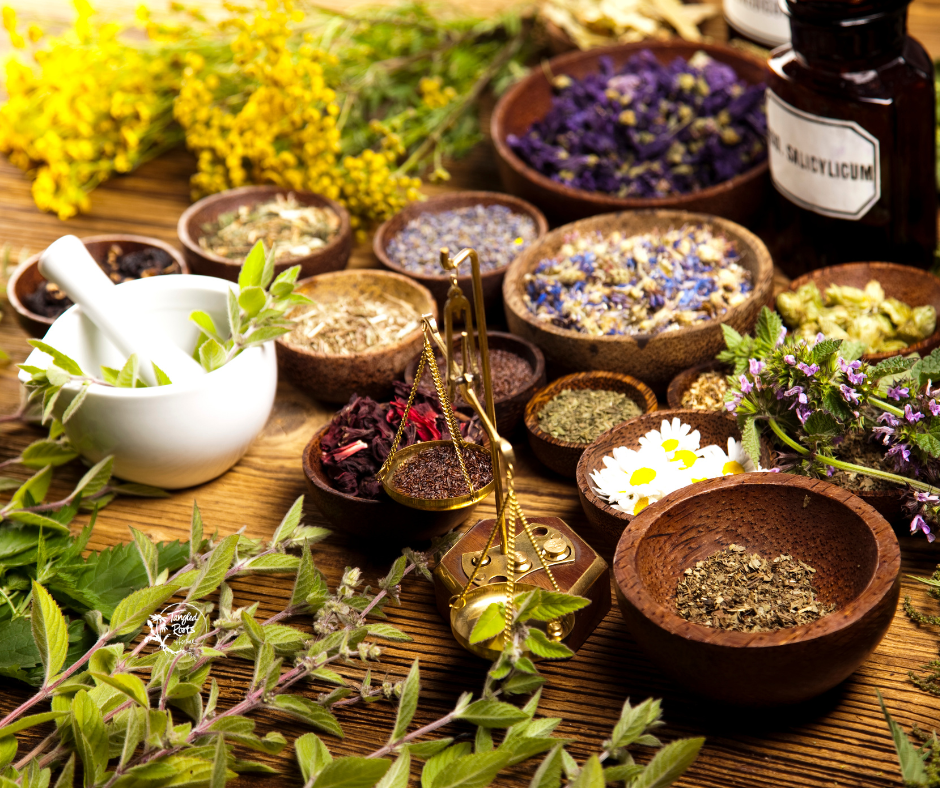 Essential Herbs for Your Natural Remedies Kit