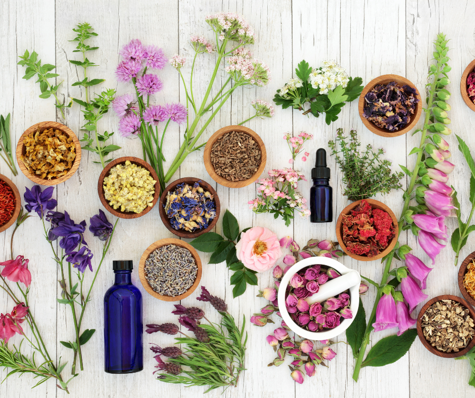 Herbal Energetics: A Beginner's Guide