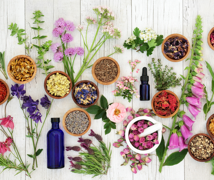 Herbal Energetics: A Beginner's Guide – Tangled Roots Herbal