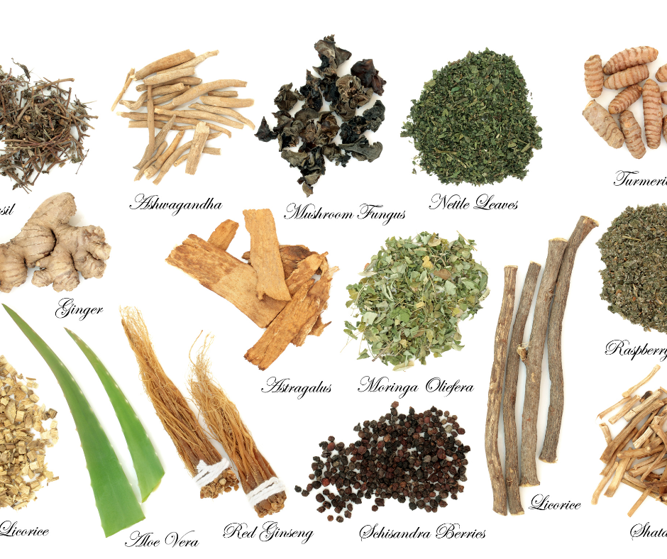 Adaptogens: Nature's Stress Relievers