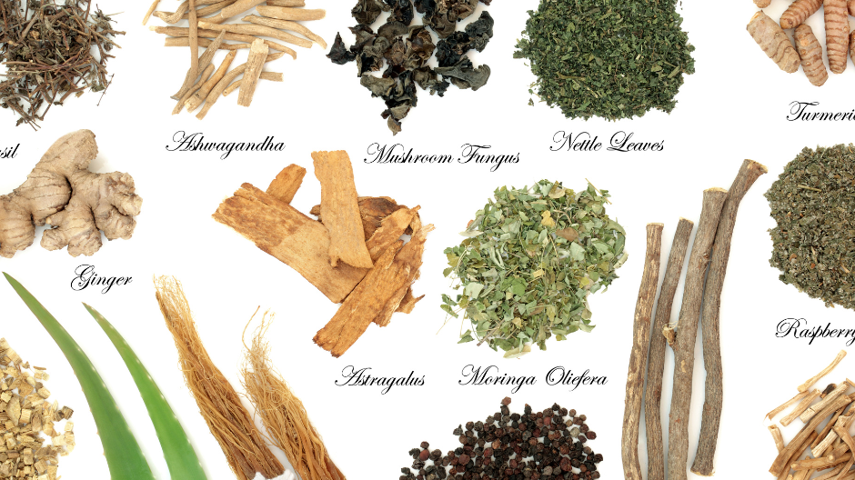Adaptogens: Nature's Stress Relievers