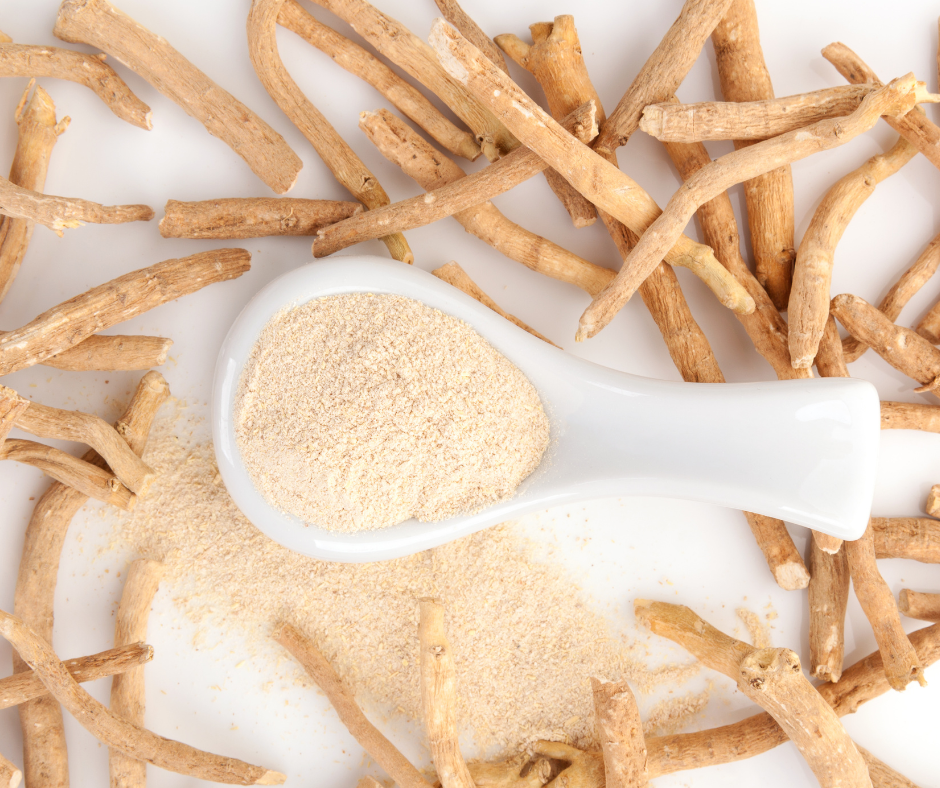 The Ancient Wisdom of Ashwagandha