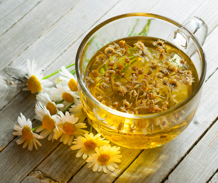 The Ultimate Guide to Finding the Best Herb Store Near You for All Your Herbal Needs