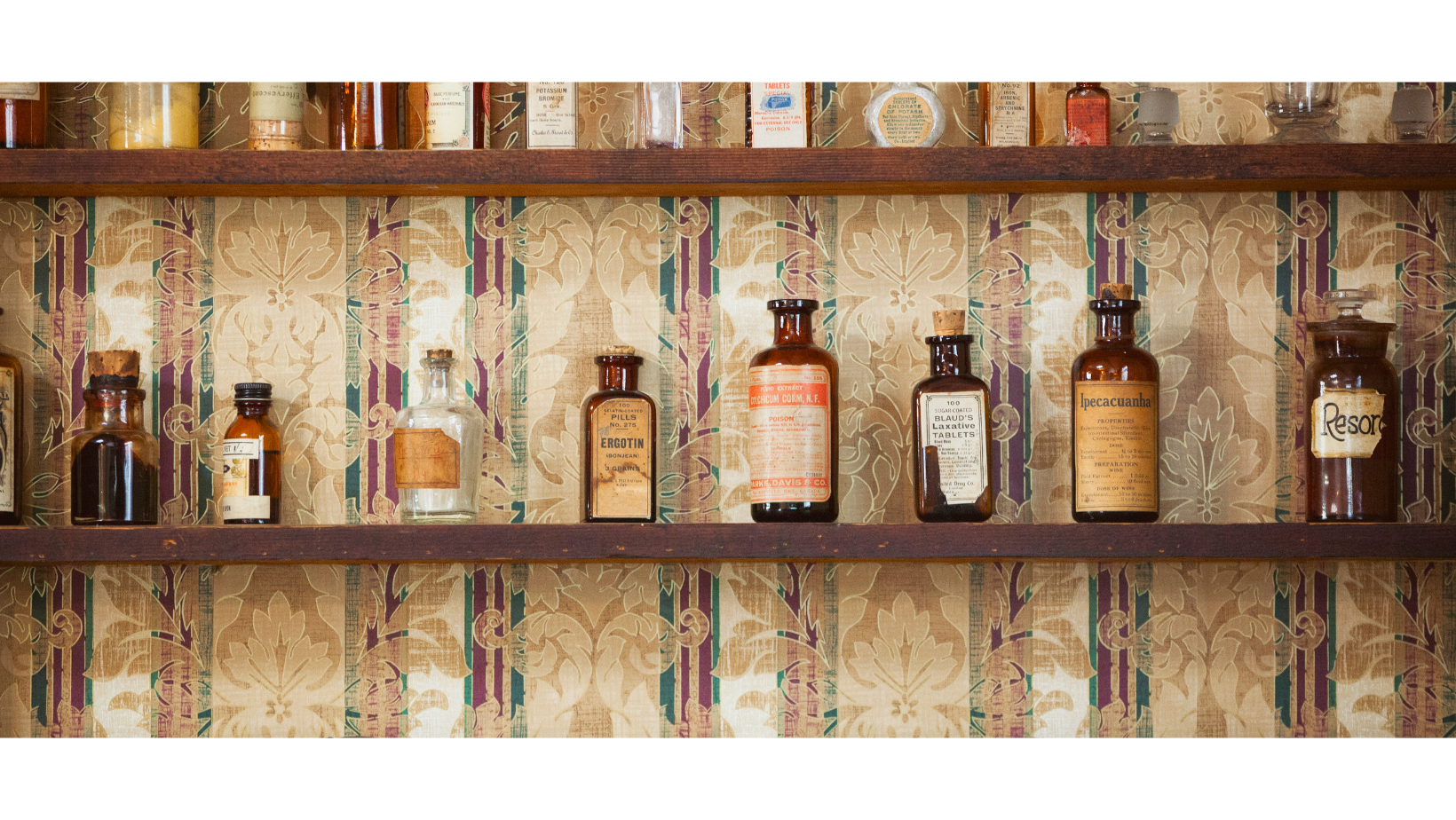 Start Your Herbal Apothecary at Home with These 9 Herbs