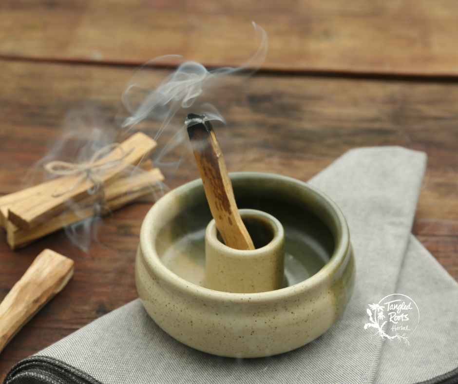 Palo Santo 101: Why We Love This Sacred Wood and How to Use It