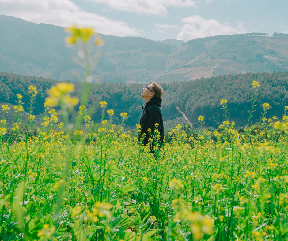 How to create your personal growth plan