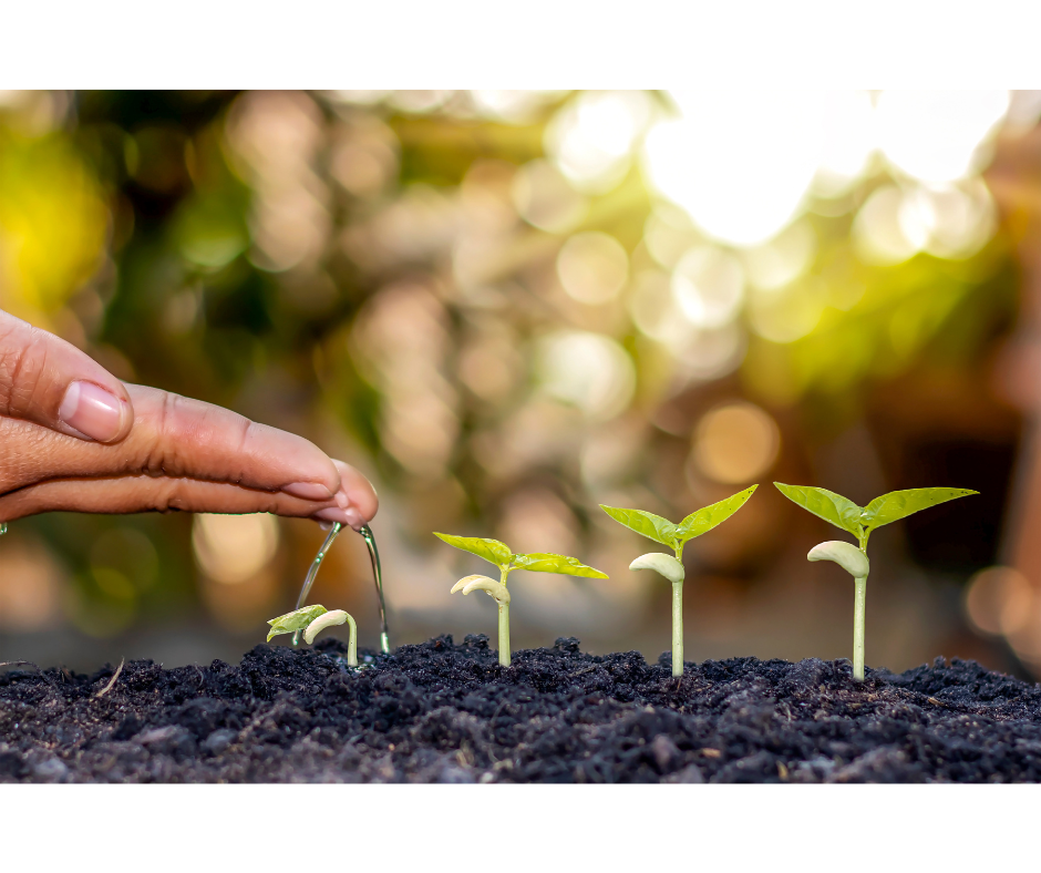 Unlock Your Full Potential: The Benefits of Working a Personal Growth Plan