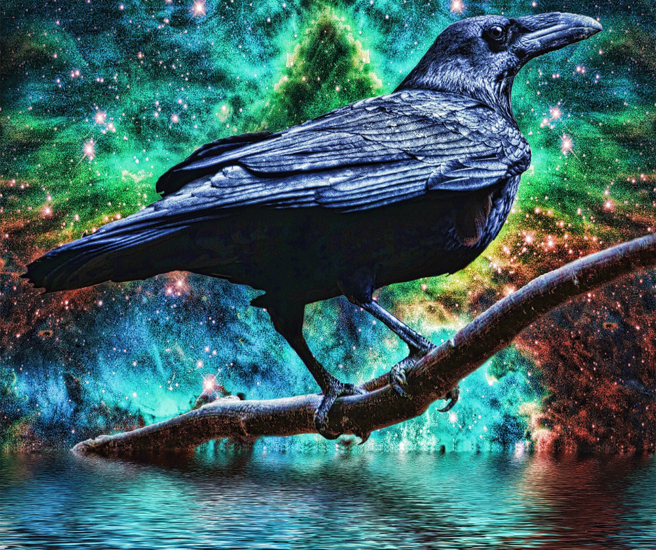 Finding Your Spirit Animal