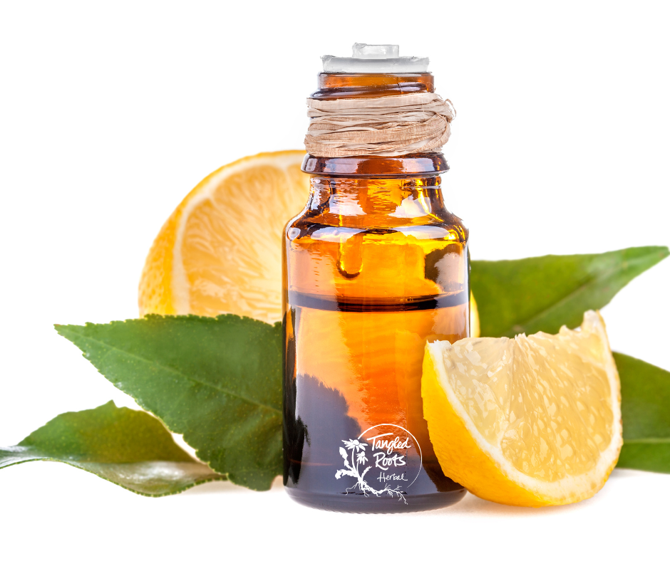 Essential Oils for Summer: Stay Cool, Calm, and Bug-Free