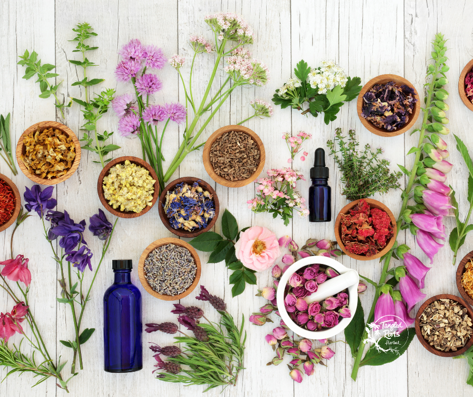 10 Must-Have Organic Dried Herbs for Your Home Apothecary