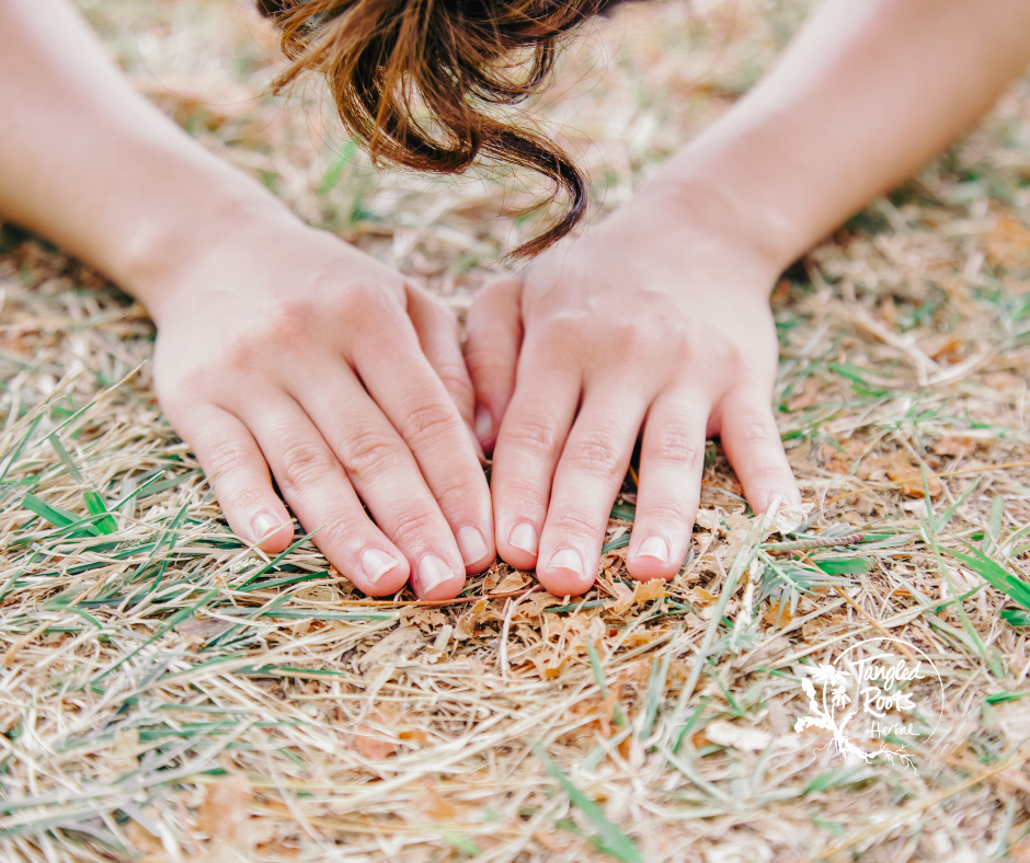 Grounding Collection – Tangled Roots Herbal