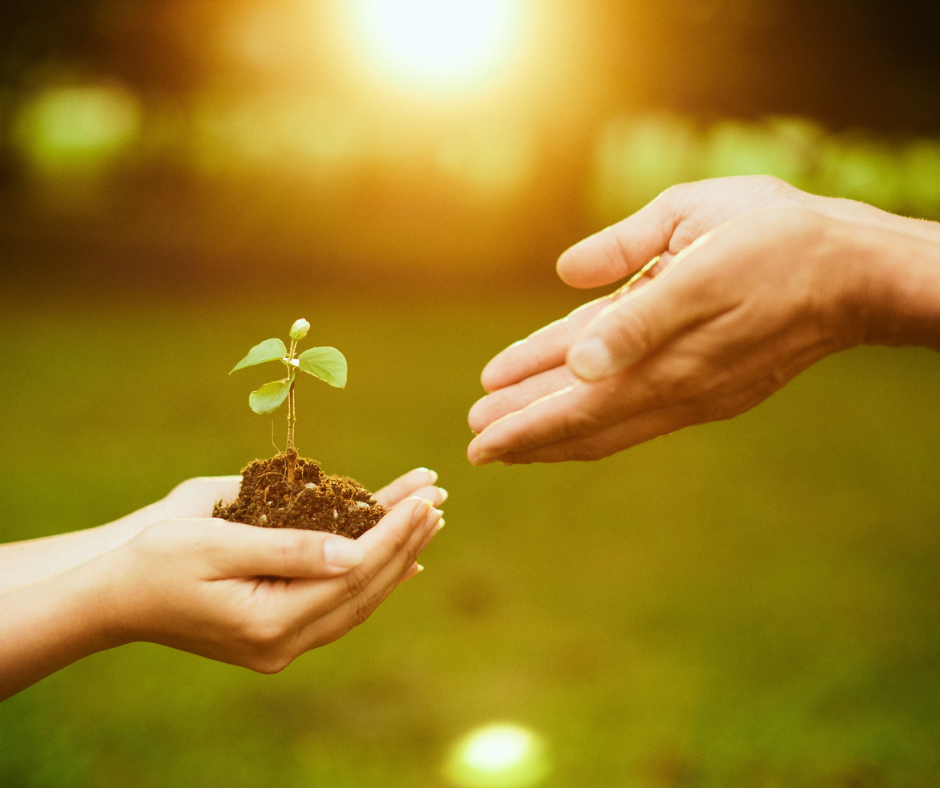 Learn, Grow, Connect | Tangled Roots Herbal